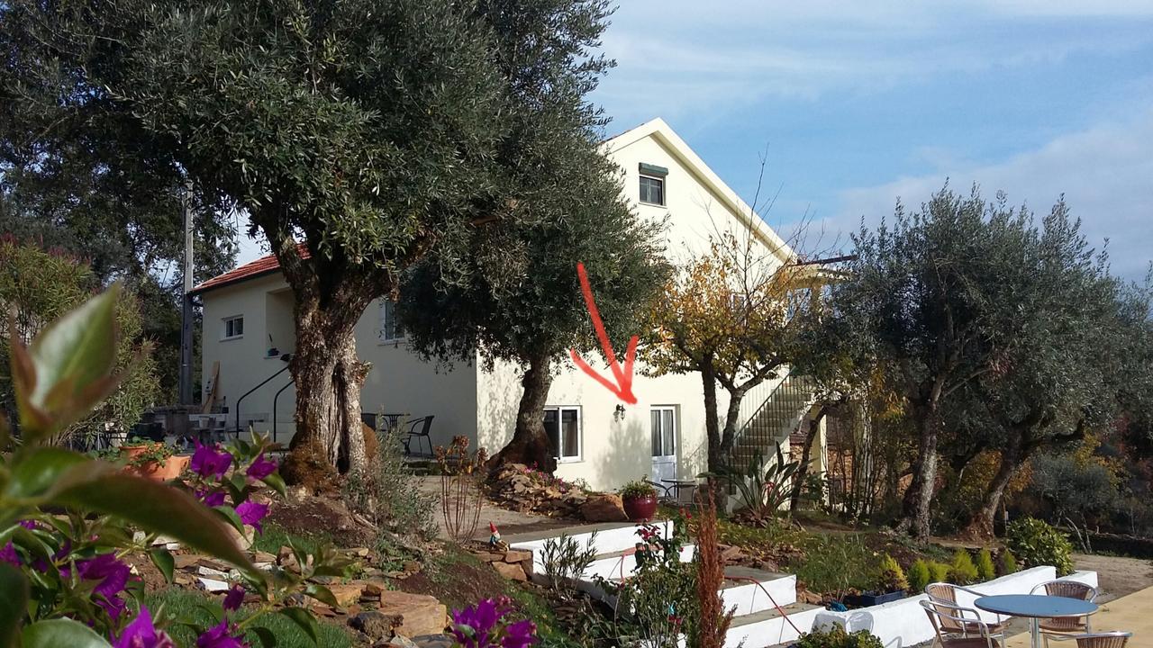 Bed and Breakfast Porturama Mouronho Zewnętrze zdjęcie